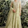 Farah Talib Aziz – Eliza Kiwi Tulle Kalidaar