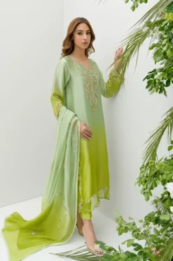 Kiwi Suit Set With Dupatta